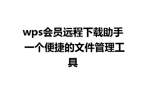 wps会员远程下载助手 一个便捷的文件管理工具