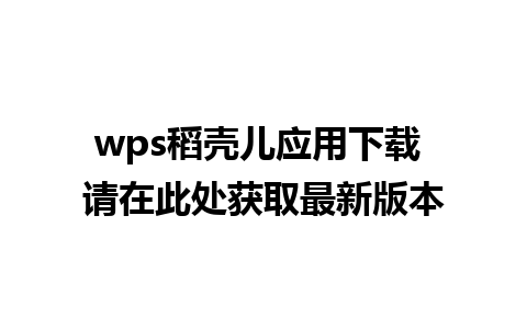 wps稻壳儿应用下载 请在此处获取最新版本