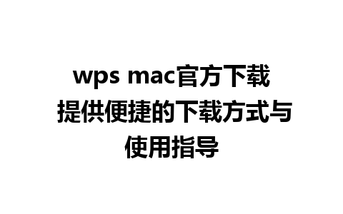 wps mac官方下载 提供便捷的下载方式与使用指导