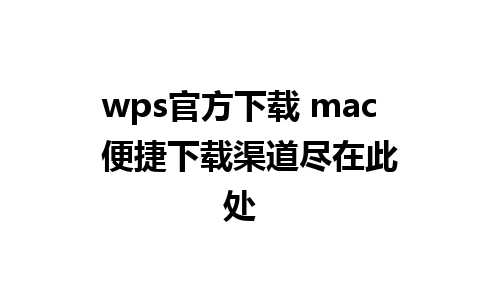 wps官方下载 mac  便捷下载渠道尽在此处