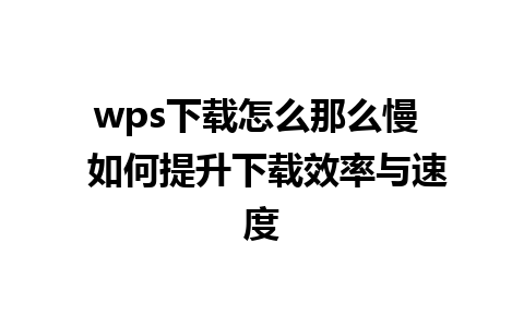 wps下载怎么那么慢  如何提升下载效率与速度