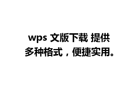 wps 文版下载 提供多种格式，便捷实用。