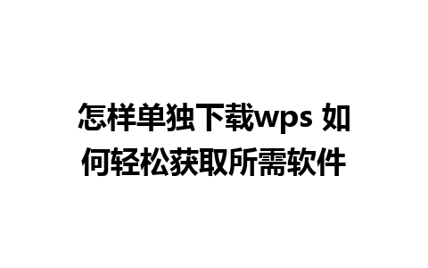 怎样单独下载wps 如何轻松获取所需软件