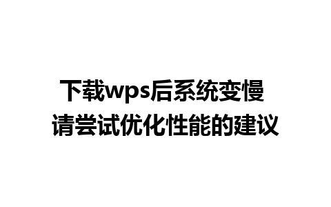 下载wps后系统变慢 请尝试优化性能的建议