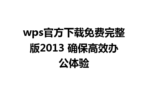 wps官方下载免费完整版2013 确保高效办公体验