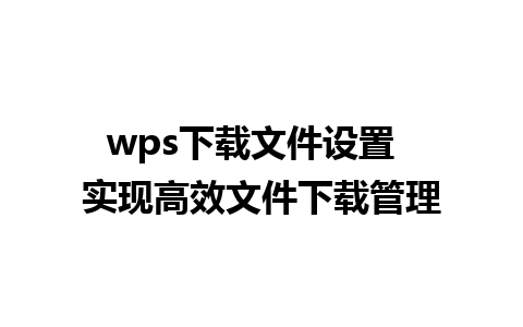 wps下载文件设置  实现高效文件下载管理