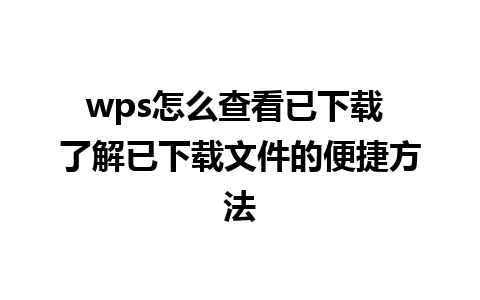 wps怎么查看已下载 了解已下载文件的便捷方法