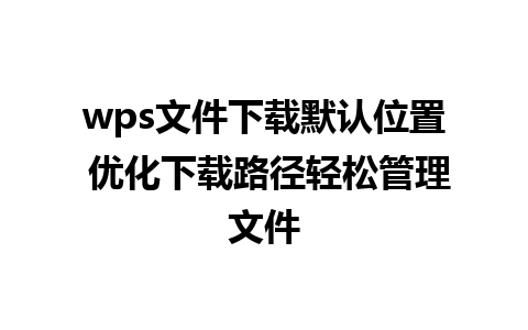 wps文件下载默认位置 优化下载路径轻松管理文件