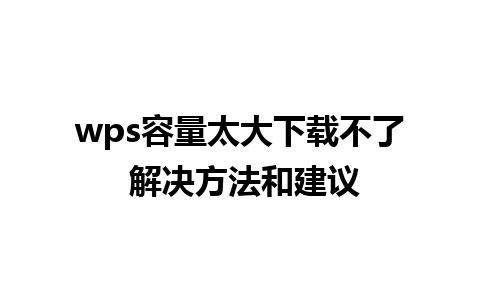 wps容量太大下载不了 解决方法和建议