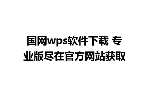 国网wps软件下载 专业版尽在官方网站获取