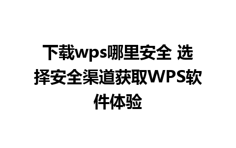 下载wps哪里安全 选择安全渠道获取WPS软件体验