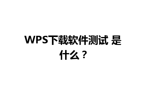 WPS下载软件测试 是什么？