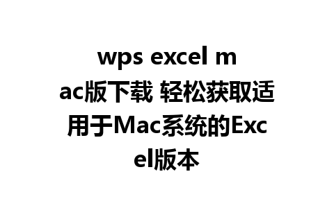 wps excel mac版下载 轻松获取适用于Mac系统的Excel版本