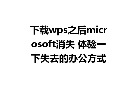 下载wps之后microsoft消失 体验一下失去的办公方式