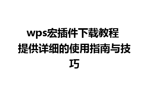 wps宏插件下载教程 提供详细的使用指南与技巧