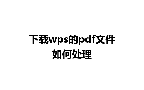 下载wps的pdf文件如何处理