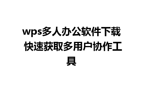 wps多人办公软件下载 快速获取多用户协作工具