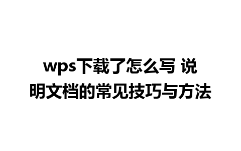 wps下载了怎么写 说明文档的常见技巧与方法