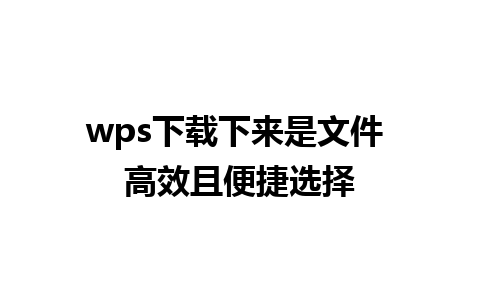 wps下载下来是文件 高效且便捷选择