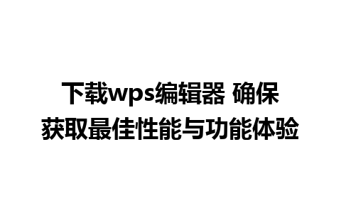 下载wps编辑器 确保获取最佳性能与功能体验