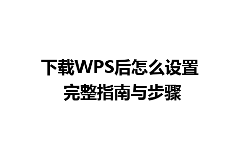 下载WPS后怎么设置 完整指南与步骤