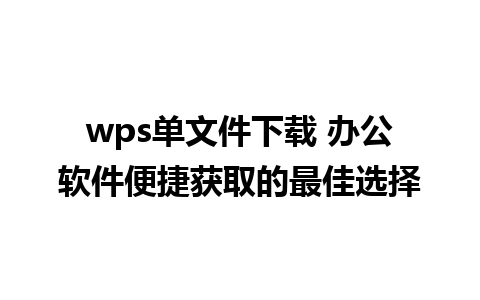 wps单文件下载 办公软件便捷获取的最佳选择