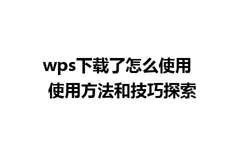 wps下载了怎么使用  使用方法和技巧探索