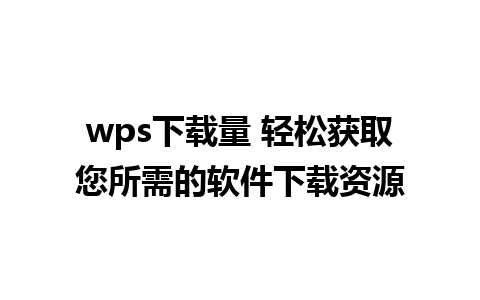 wps下载量 轻松获取您所需的软件下载资源