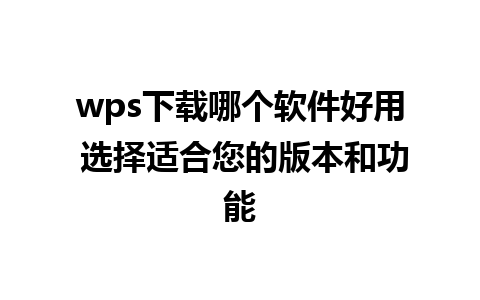 wps下载哪个软件好用 选择适合您的版本和功能 