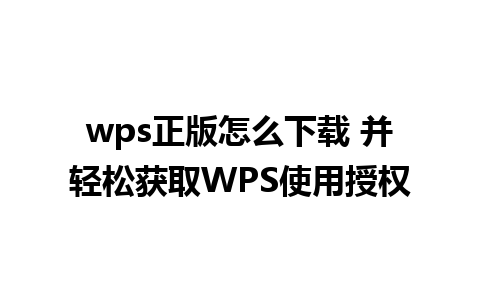 wps正版怎么下载 并轻松获取WPS使用授权