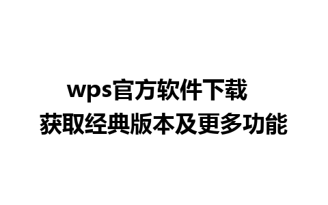 wps官方软件下载  获取经典版本及更多功能