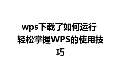 wps下载了如何运行 轻松掌握WPS的使用技巧