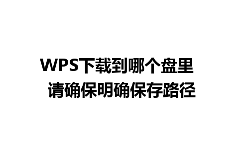 WPS下载到哪个盘里  请确保明确保存路径