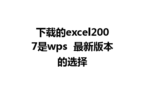 下载的excel2007是wps  最新版本的选择