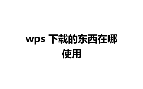 wps 下载的东西在哪使用