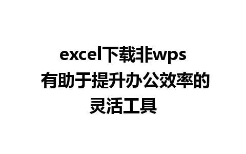 excel下载非wps 有助于提升办公效率的灵活工具