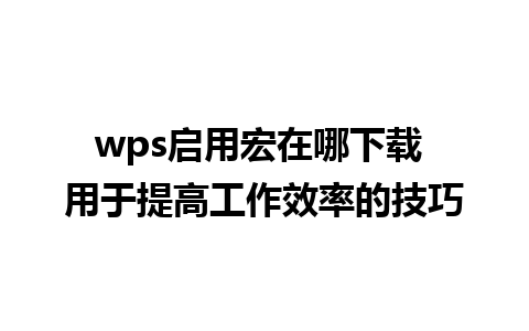 wps启用宏在哪下载 用于提高工作效率的技巧