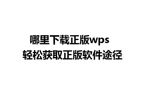 哪里下载正版wps  轻松获取正版软件途径