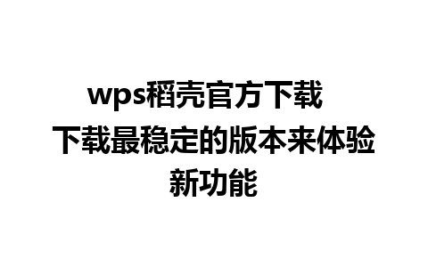 wps稻壳官方下载  下载最稳定的版本来体验新功能