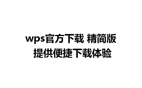 wps官方下载 精简版 提供便捷下载体验