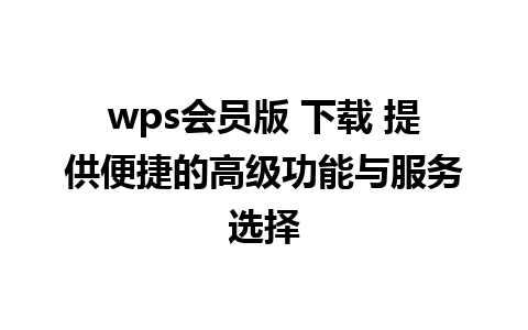 wps会员版 下载 提供便捷的高级功能与服务选择