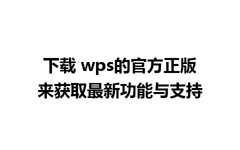 下载 wps的官方正版来获取最新功能与支持 