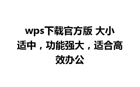 wps下载官方版 大小适中，功能强大，适合高效办公