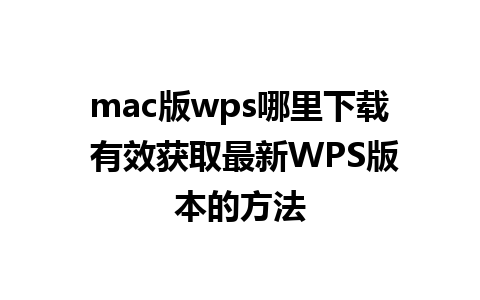 mac版wps哪里下载 有效获取最新WPS版本的方法