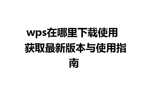 wps在哪里下载使用  获取最新版本与使用指南