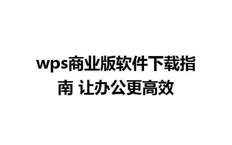 wps商业版软件下载指南 让办公更高效