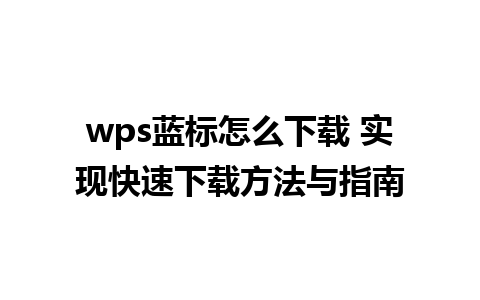 wps蓝标怎么下载 实现快速下载方法与指南