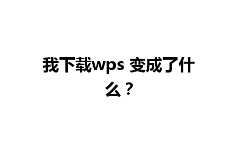 我下载wps 变成了什么？