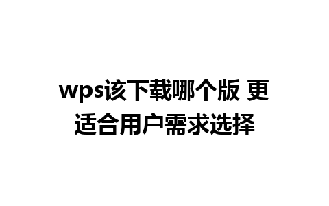 wps该下载哪个版 更适合用户需求选择