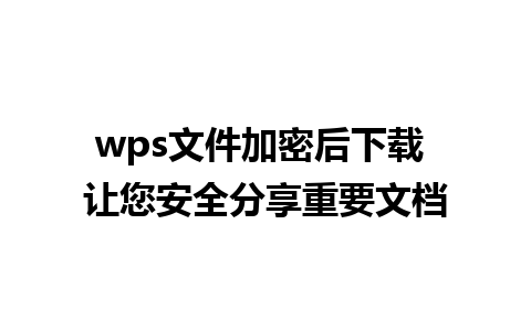 wps文件加密后下载 让您安全分享重要文档